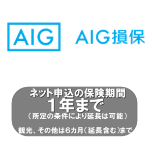 AIG損保